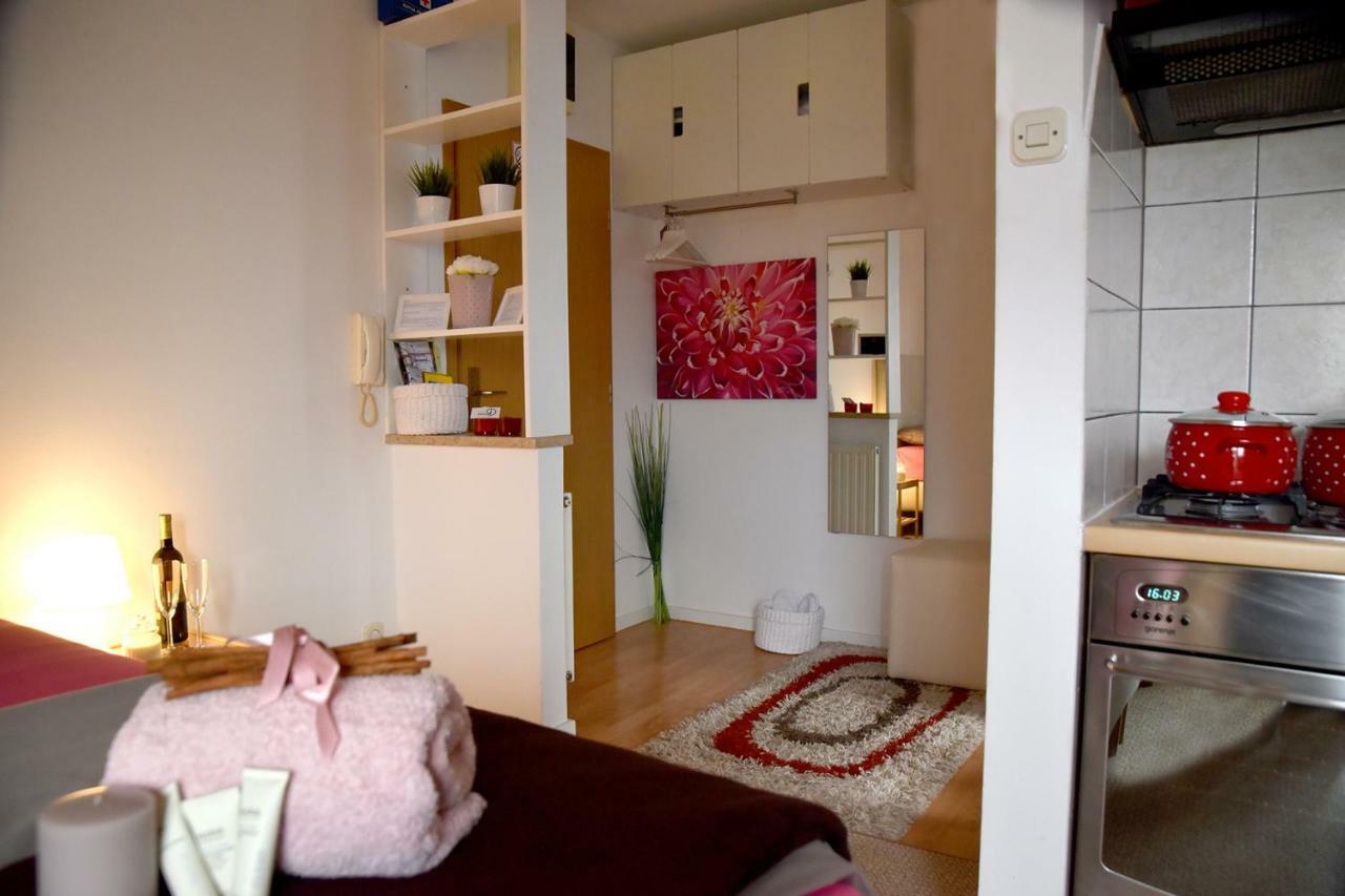 Studio Apartman D Apartman Sesvete Kültér fotó