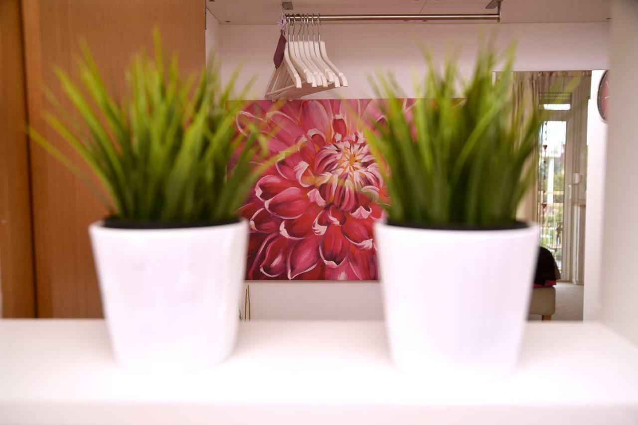 Studio Apartman D Apartman Sesvete Kültér fotó